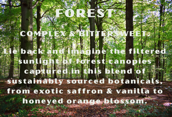 2024 Smaller Images for article content (5).png
