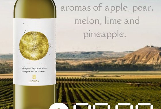 Chardonnay Poster.jpg