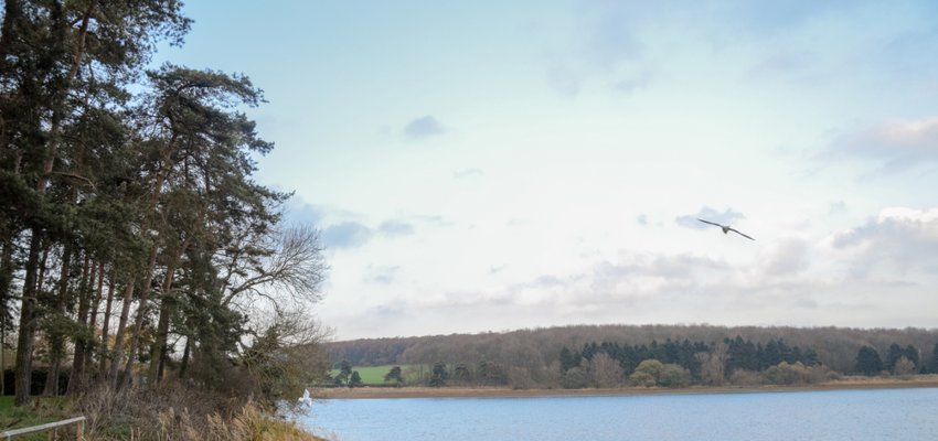 DSC_0643.jpg