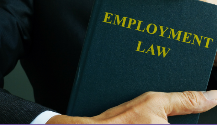 Employment Law.png