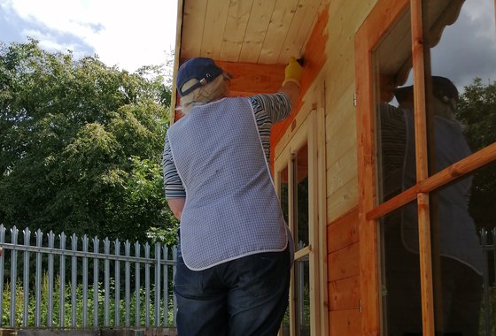 Painting the cabin (1).jpg