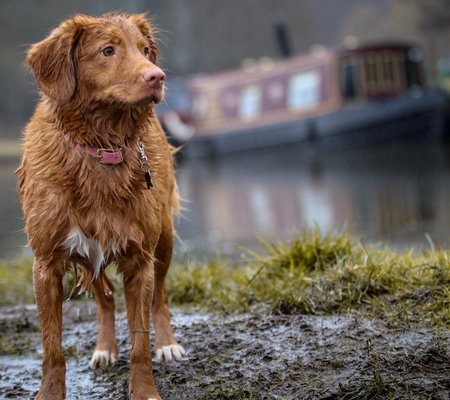 laula-the-toller-549213-unsplash.jpg