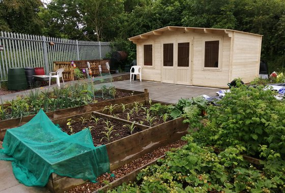 melton allotment.jpg