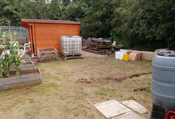 melton community allotment.jpg